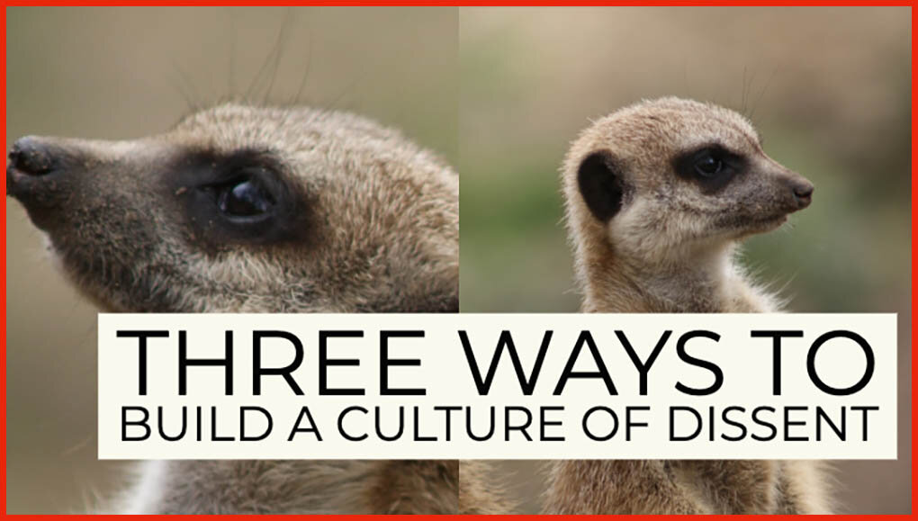 Three Ways To Build A Culture of Dissent