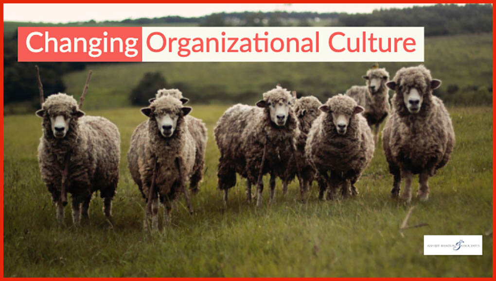 Changing Organizational Culture