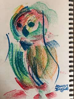 Wisdom of the Owl
