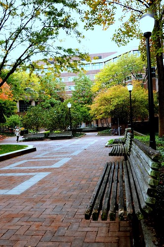 Wharton